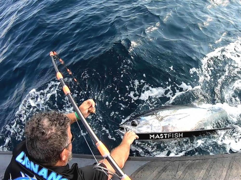 Pesca del tonno a Lignano Sabbiadoro