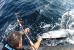Pesca del tonno a Lignano Sabbiadoro
