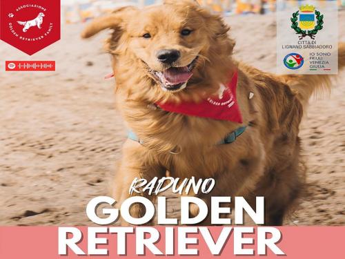 Raduno Golden Retriever