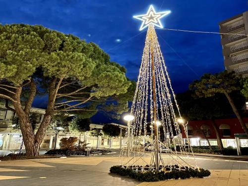 Natale a Pineta
