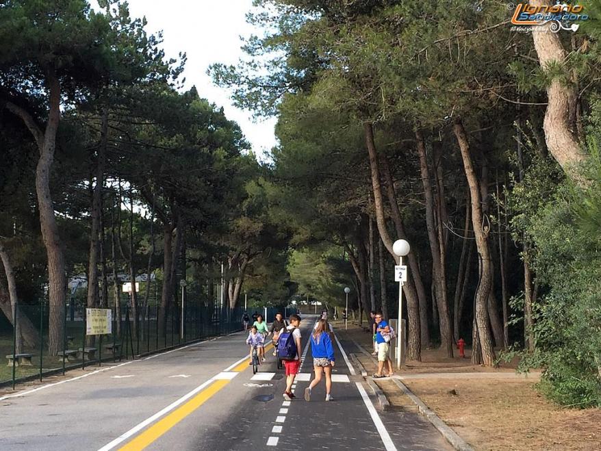 Stagione 2016: il turista potrà vedere 200 mila mq. di bosco naturale in più