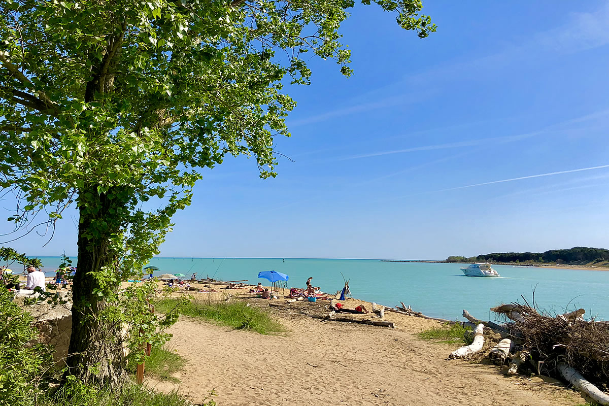 Veduta dell'area naturalistica: le foci del fiume Tagliamento