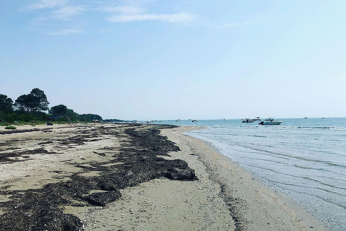 Veduta dei casoni su palafitte nell'acqua a Lignano e Marano