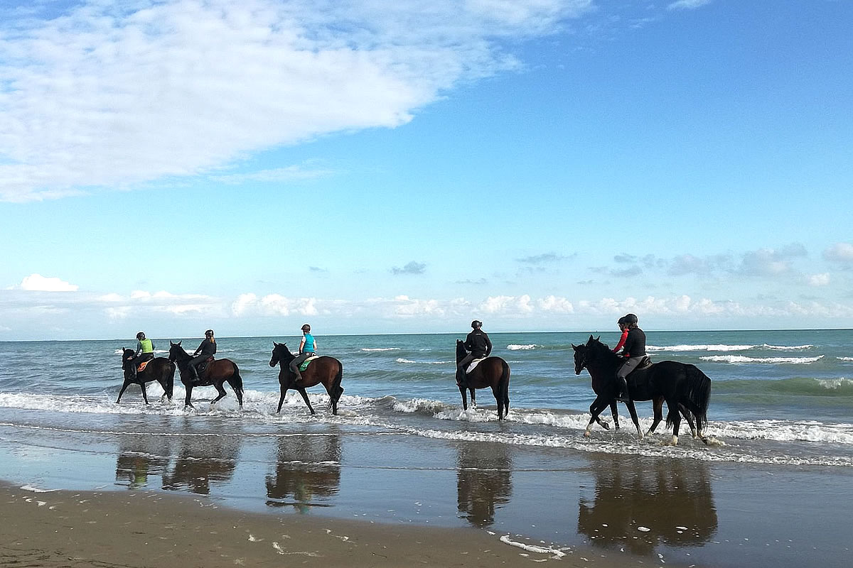 Passeggiata in spiaggia a cavallo